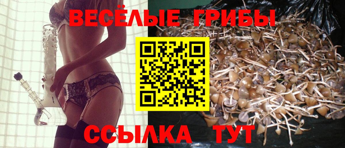 Псилоцибиновые грибы прущие грибы Омск