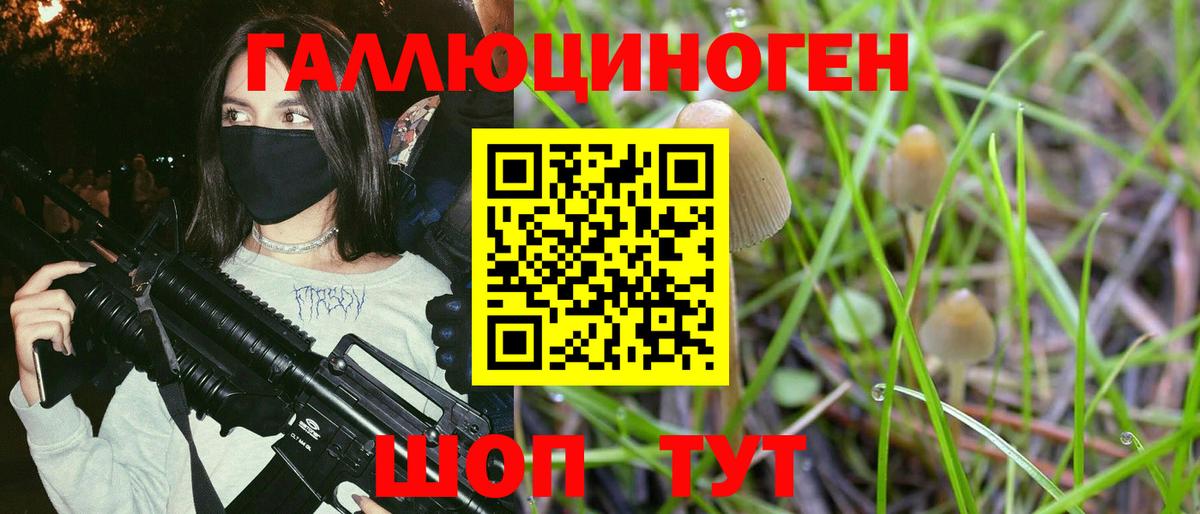 Омск  Псилоцибиновые грибы прущие грибы  Вход с VPN 
